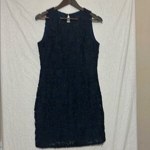 Elegant Navy Lace Dress